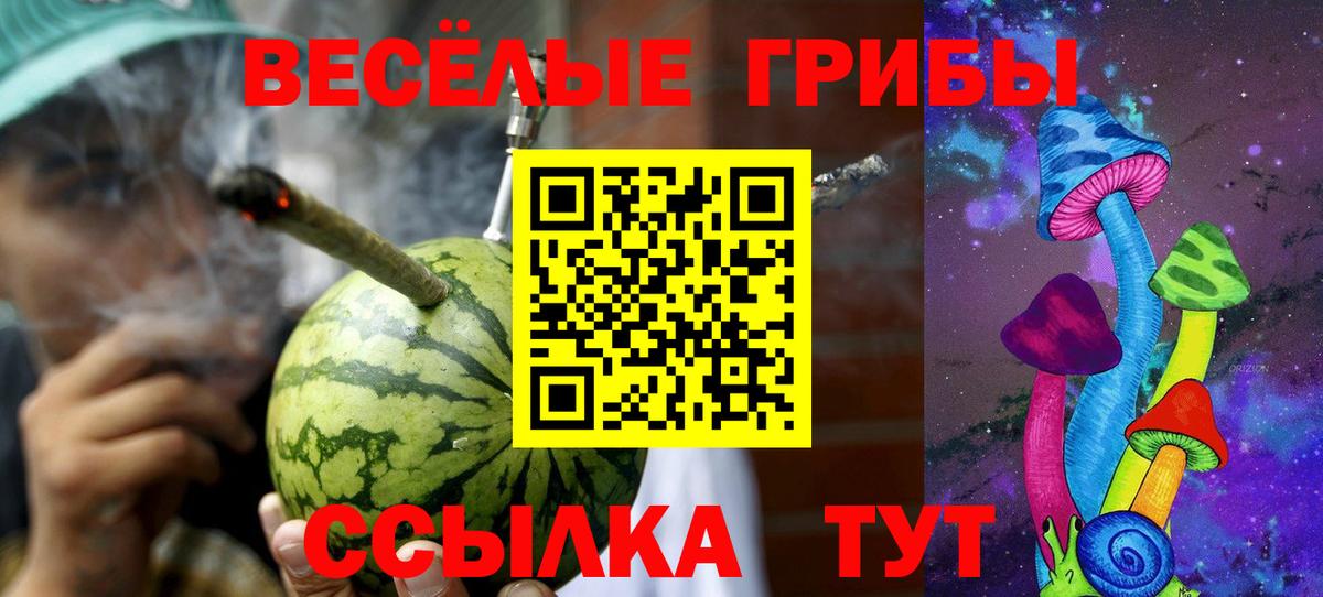 Галлюциногенные грибы MAGIC MUSHROOMS  Псилоцибиновые грибы GOLDEN TEACHER  Вход с VPN  Южноуральск 
